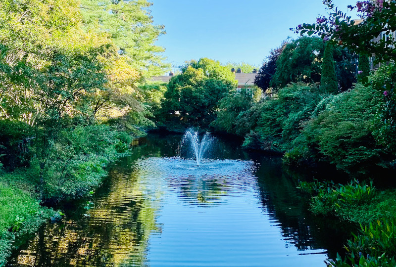 Fountain of Hillandale